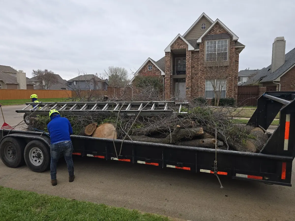 Expert Tree Pest Control with proper safety equipment in Crookston
